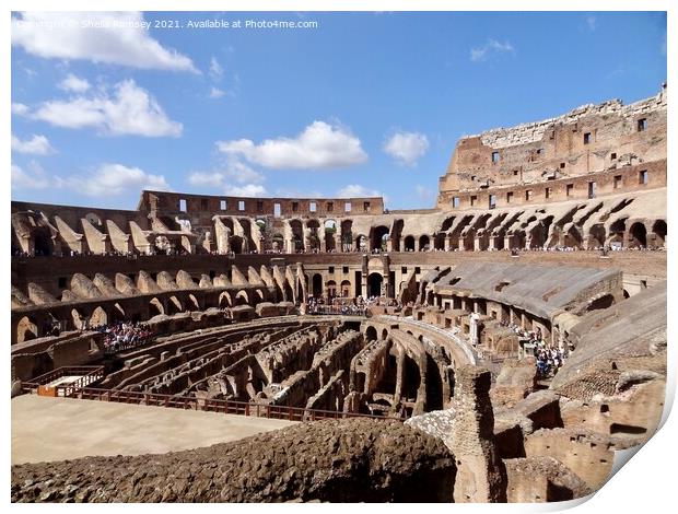 Inside the Colosseum Rome Print by Sheila Ramsey