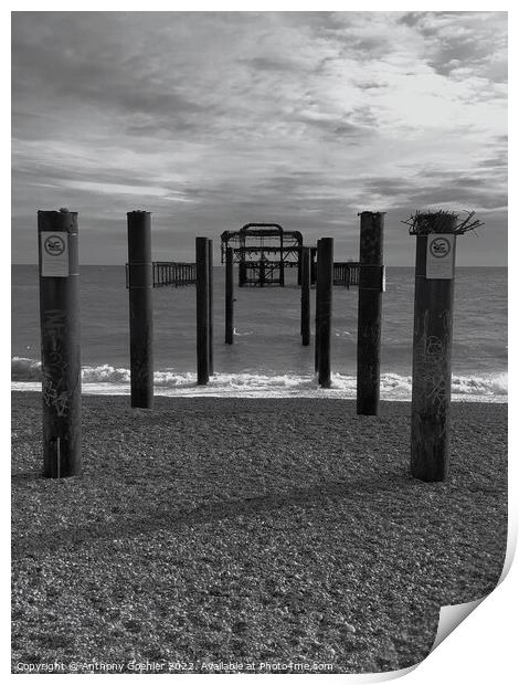 Brighton in black and white Print by Anthony Goehler
