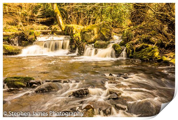 River Rivelin Print by Stephen Hollin