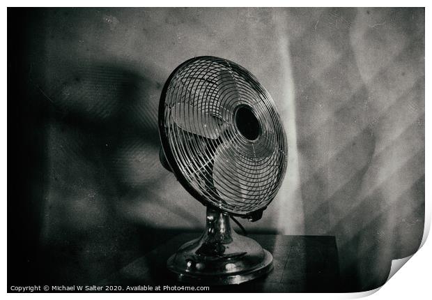 Fan Noir Print by Michael W Salter