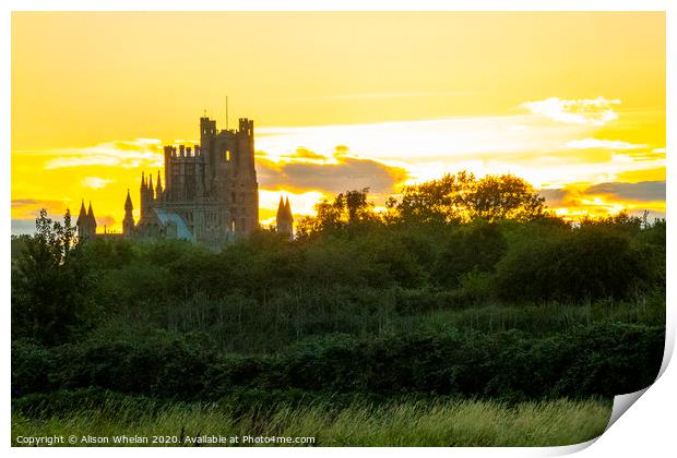 Ely Cathedral at Sunset Print by Alison Whelan