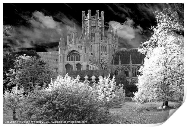 Ely Cathedral Octagon Tower in Monochrome Print by Alison Whelan