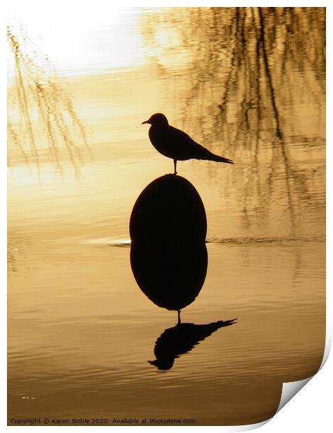 Buoy and Gull silhouette on the river Tarn in Fran Print by Karen Noble