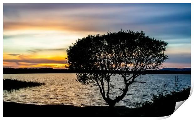 The Lone Tree, Kenfig Print by Rhodri Phillips