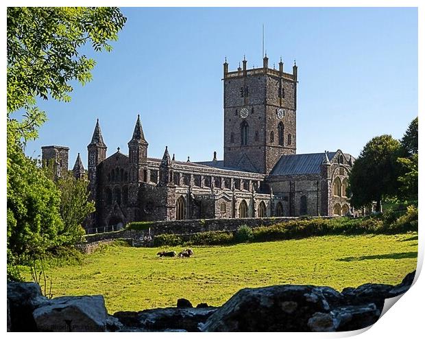 ST.David's Cathedral Print by Rhodri Phillips