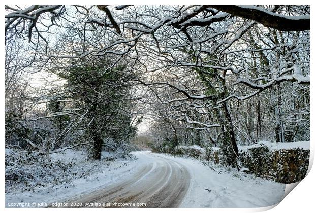 Winter Trees, Horsedowns Print by Rika Hodgson