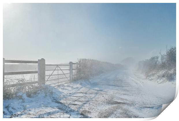 Snowy winds, Horsedowns, Cornwall Print by Rika Hodgson