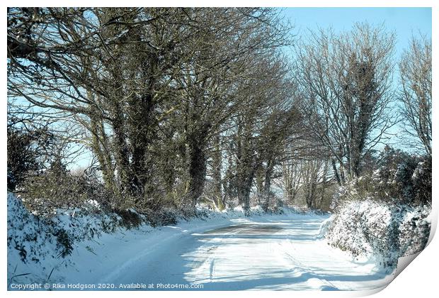 Winter Sun, Horsedowns, Cornwall  Print by Rika Hodgson