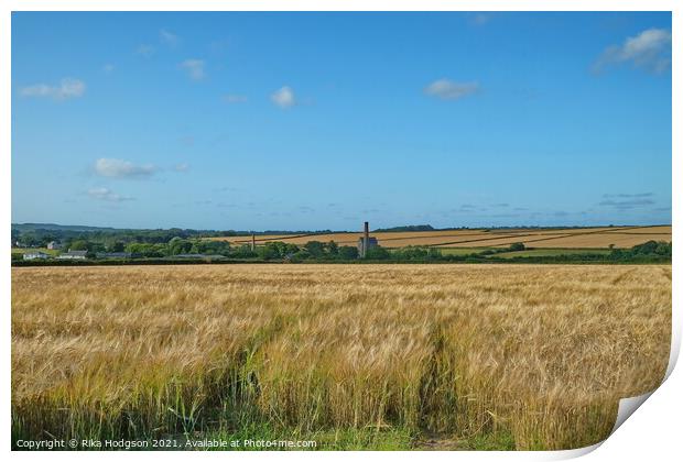 Wheat Fields, Goldsithney, West Cornwall Print by Rika Hodgson