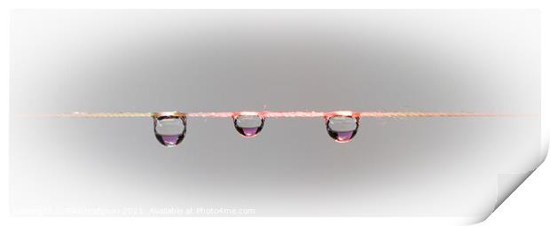 Three waterdrops on a string, Close up Print by Rika Hodgson