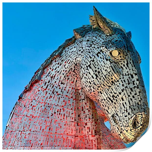 The Kelpies, Falkirk  Print by David Bennett