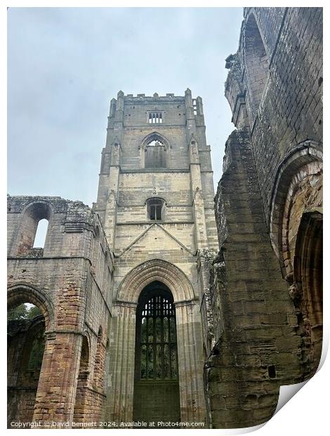 Fountains Abbey Yorkshire Print by David Bennett