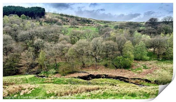 High Peak District Print by David Bennett