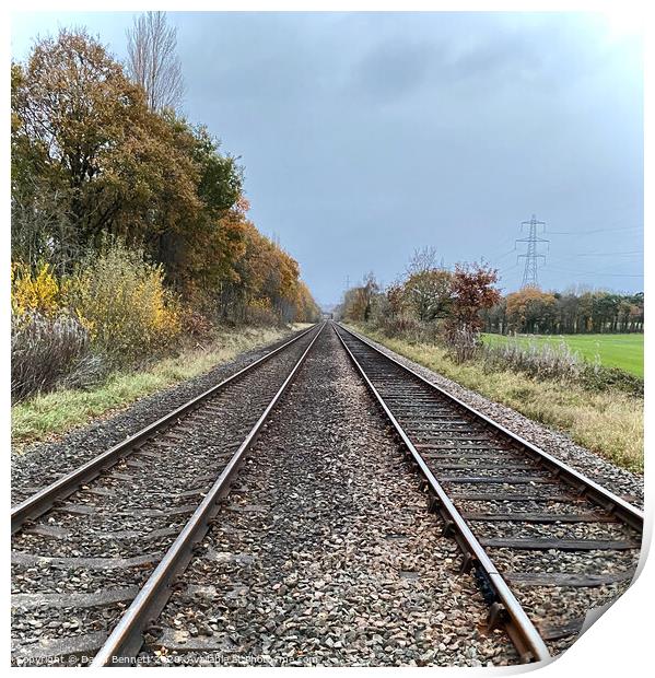 Storeton, Wirral Abandoned Railway Print by David Bennett