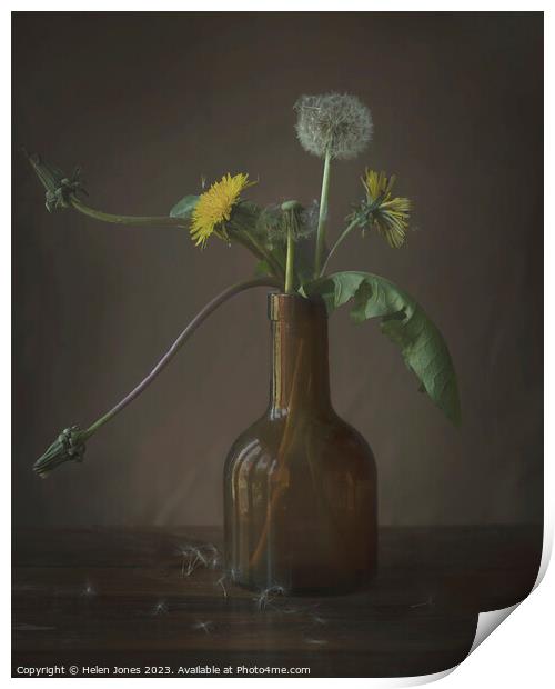 Dandelions in a bottle Print by Helen Jones