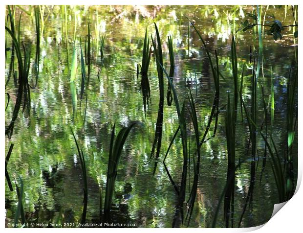 Reflections of foliage upon a wild pond Print by Helen Jones