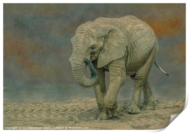 Elephant Print by Kev Robertson