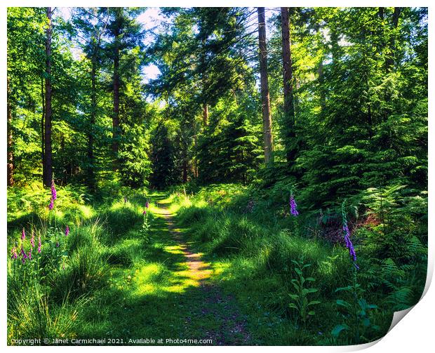 Enchanting Woodland Pathway Print by Janet Carmichael