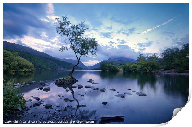 Blue Hour at the Lone Tree of Llanberis Print by Janet Carmichael