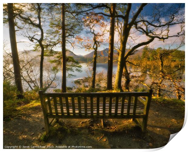 Surrounded by Nature - Friars Crag Bench Print by Janet Carmichael