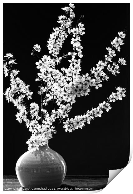 Dramatic Monochrome Spring Blossom Print by Janet Carmichael