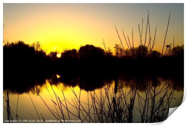 Yellow lake Print by Ollie Hully