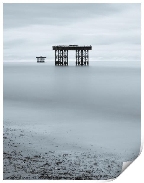 Sizewell  Print by Shaun Pook