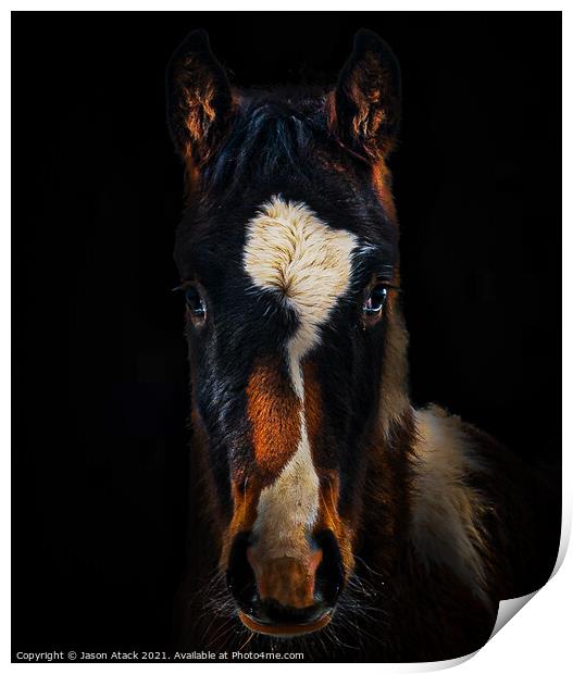Horse Print by Jason Atack