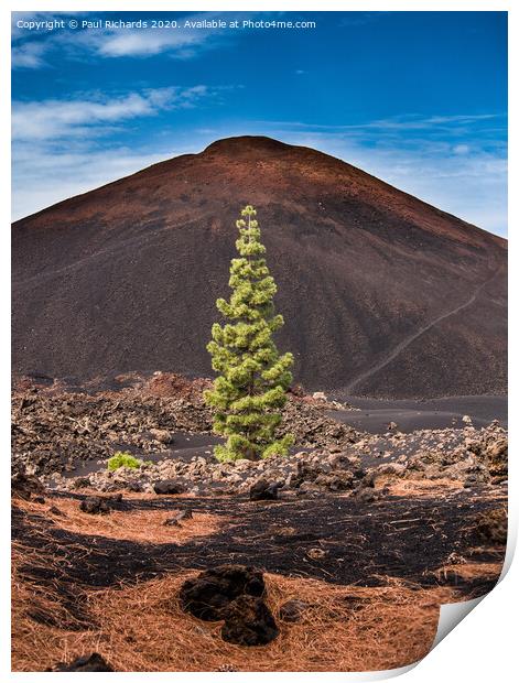 Landscape of Tenerife Print by Paul Richards