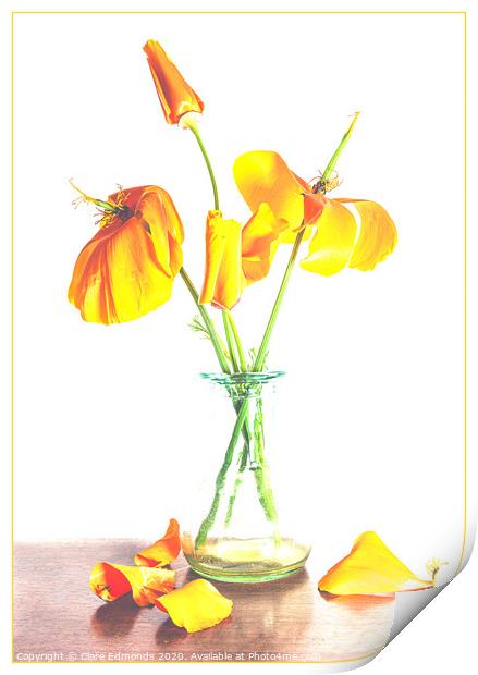 Orange Poppies Print by Clare Edmonds