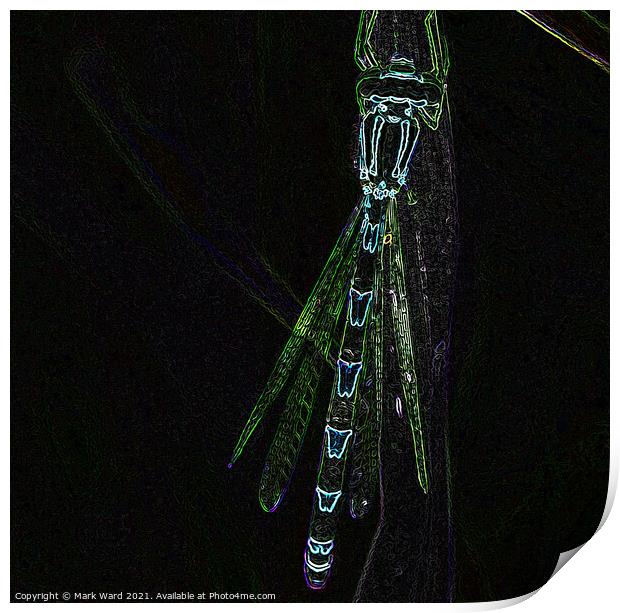 Glowing Damselfly Print by Mark Ward