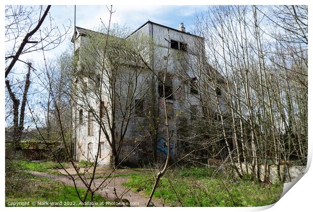 Abandoned Flour Mill Print by Mark Ward