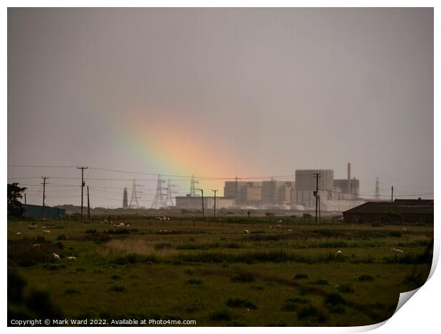 Dungeness Romance Print by Mark Ward