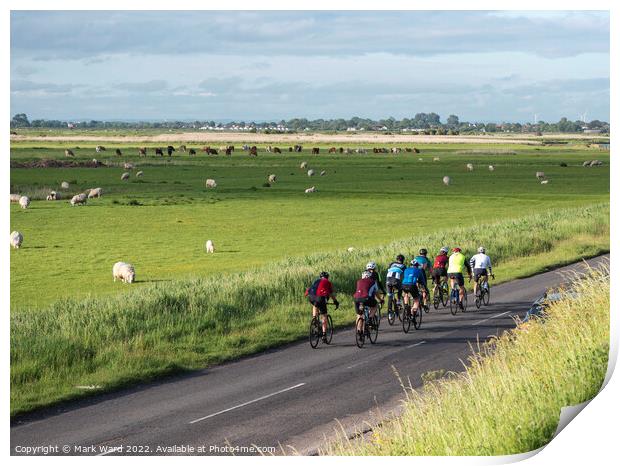 Cycling through Pett Level. Print by Mark Ward