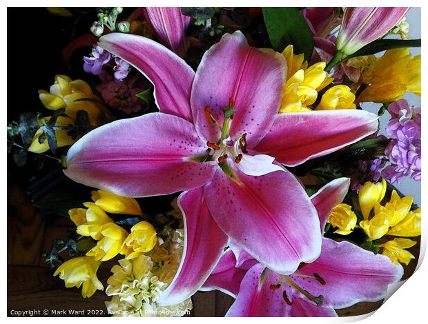 The Lily Explosion. Print by Mark Ward