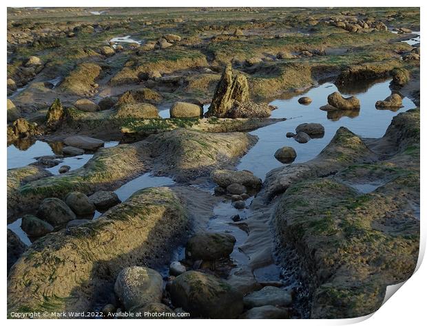 Low Tide World Print by Mark Ward