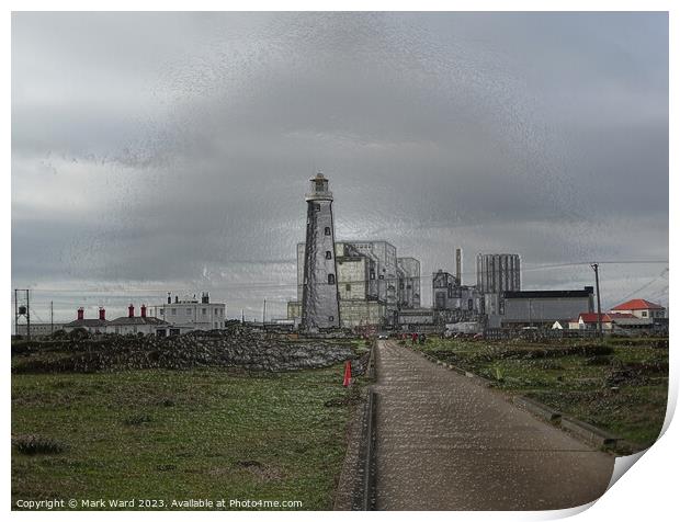 Dungeness Wrapped in Plastic. Print by Mark Ward