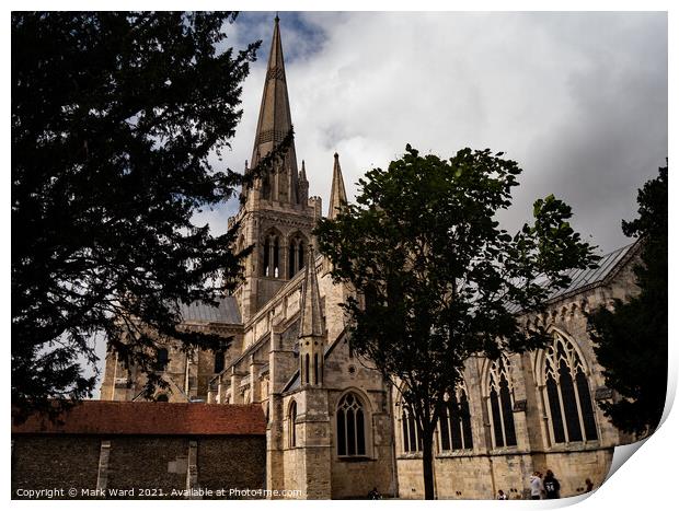Chichester Cathedral Print by Mark Ward