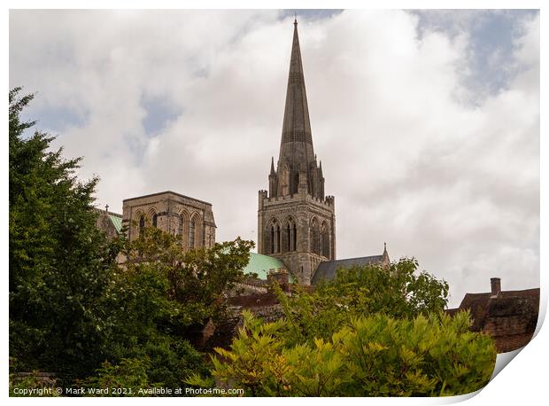 Chichester Cathedral  from the Bishops Palace Gardens. Print by Mark Ward