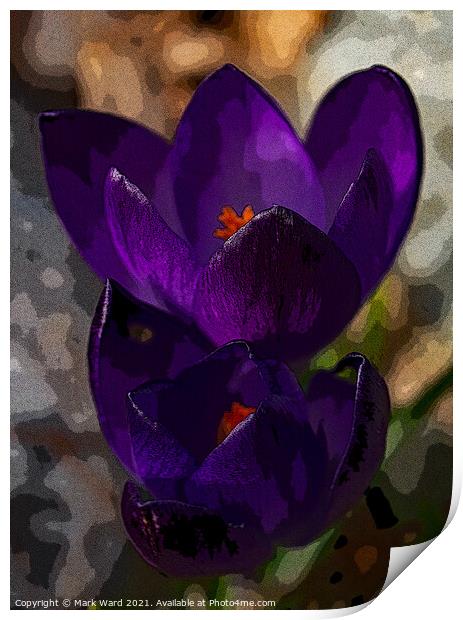 Crocus Therapy Print by Mark Ward