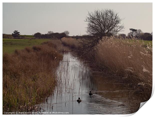 The Royal Military Canal at Pett Level Print by Mark Ward