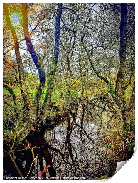 River in Autumn Woodland Print by Jacqui Morgan