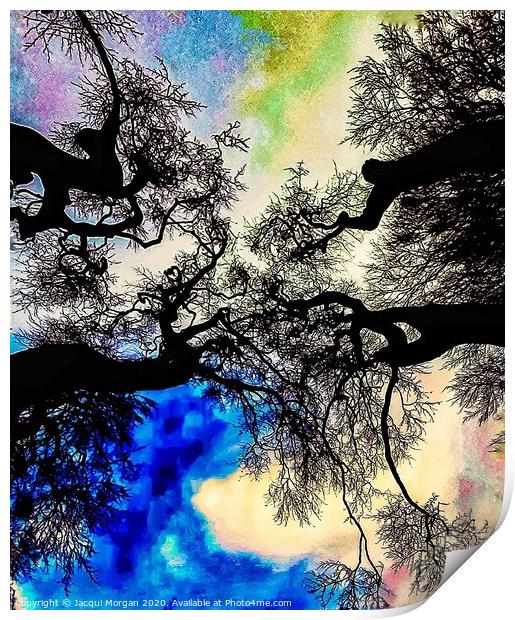 Mystical trees  Print by Jacqui Morgan
