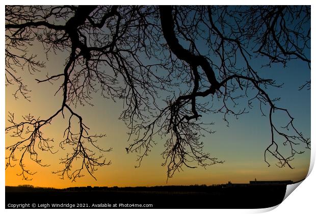 Silhouettes and Sunset Colours Print by Leigh Windridge