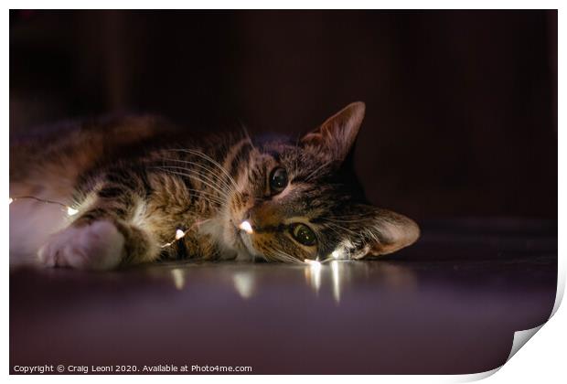 Cat lookign at the camera dressed in lights Print by Craig Leoni