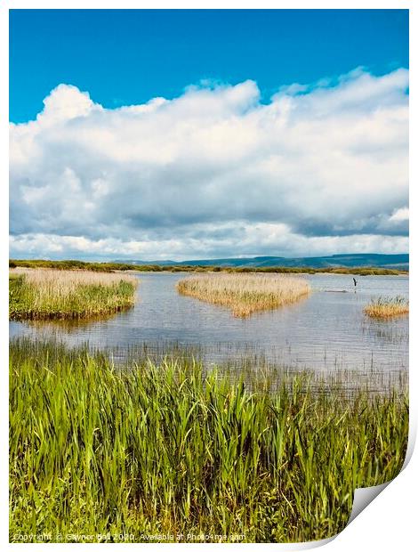 Through the reeds at Kenfig Pool, Bridgend, South Wales Print by Gaynor Ball