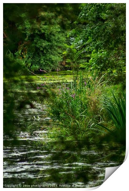 Water Framed. Print by 28sw photography