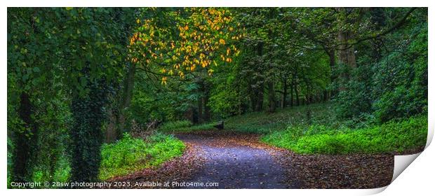 A slice of Autumn and Light - (Panorama.) Print by 28sw photography