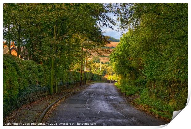 Down the Lane. Print by 28sw photography