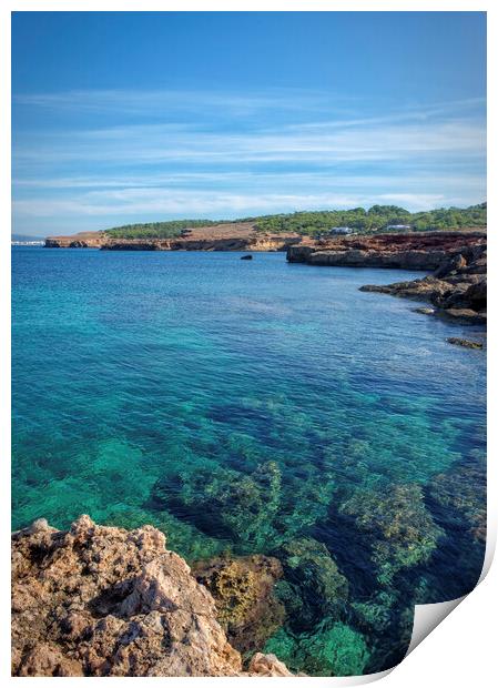 Photography with the transparent waters of Cala Bassa in San Antonio de Ibiza Print by Vicen Photo